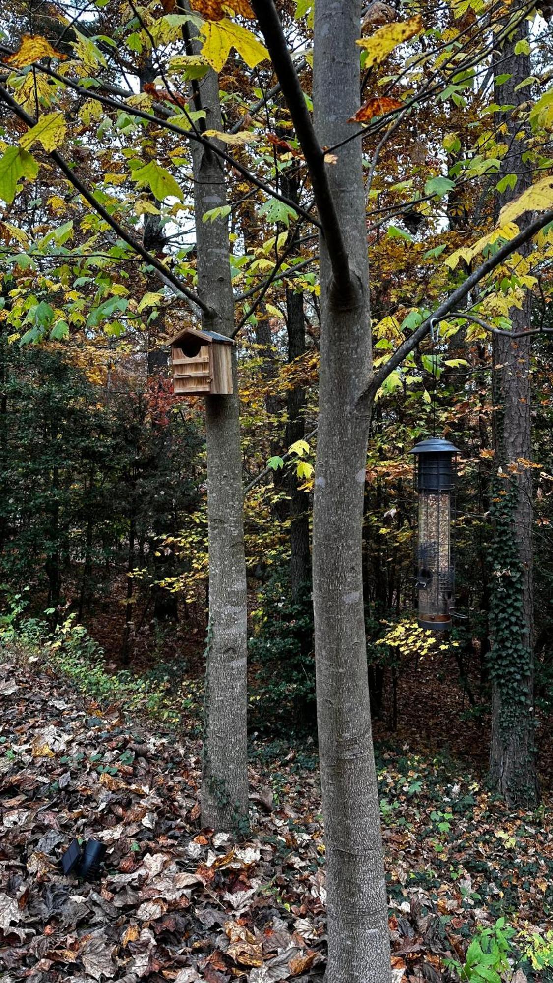 Appalachian Mountain Cabin-Updated-Private-Rafting On Ocoee River-Hiking-Waterfalls-Wifi-Pets Ok Murphy Exterior photo