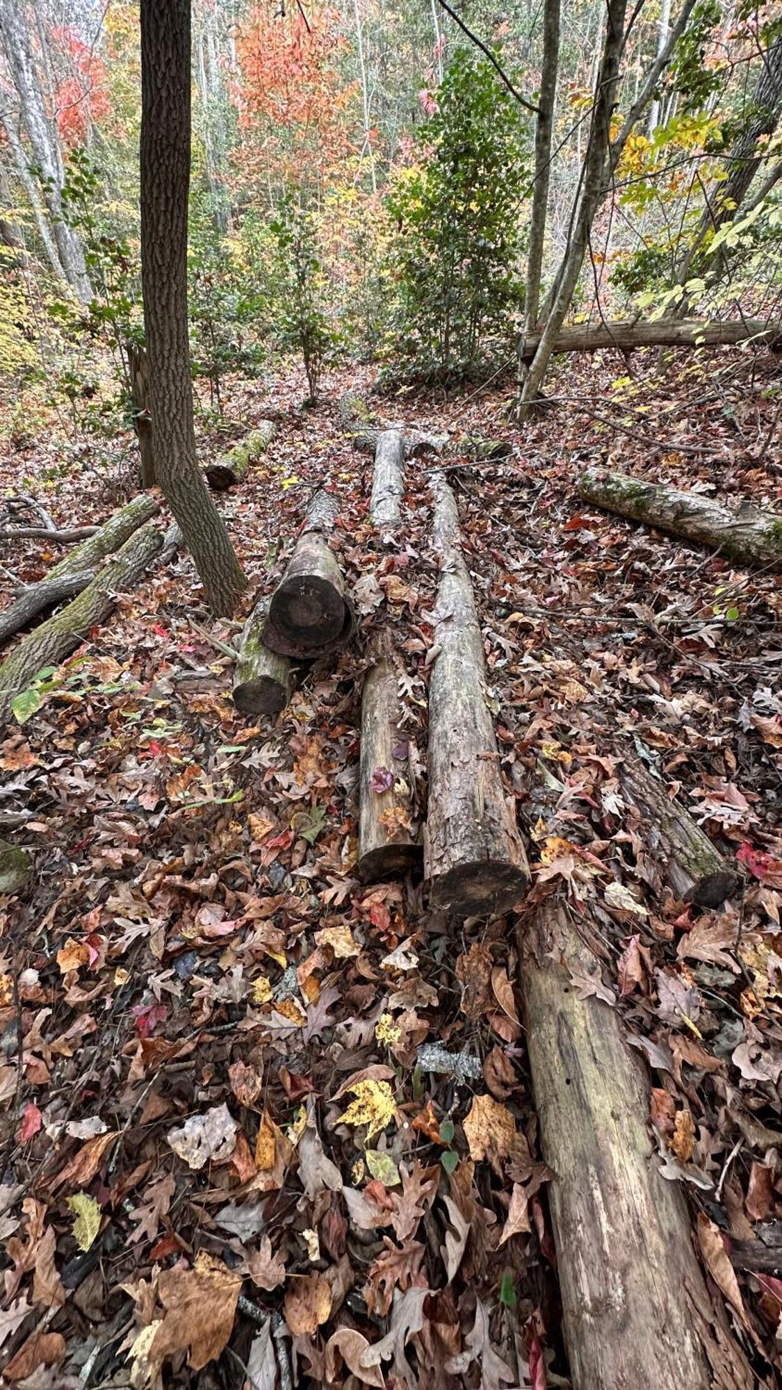 Appalachian Mountain Cabin-Updated-Private-Rafting On Ocoee River-Hiking-Waterfalls-Wifi-Pets Ok Murphy Exterior photo