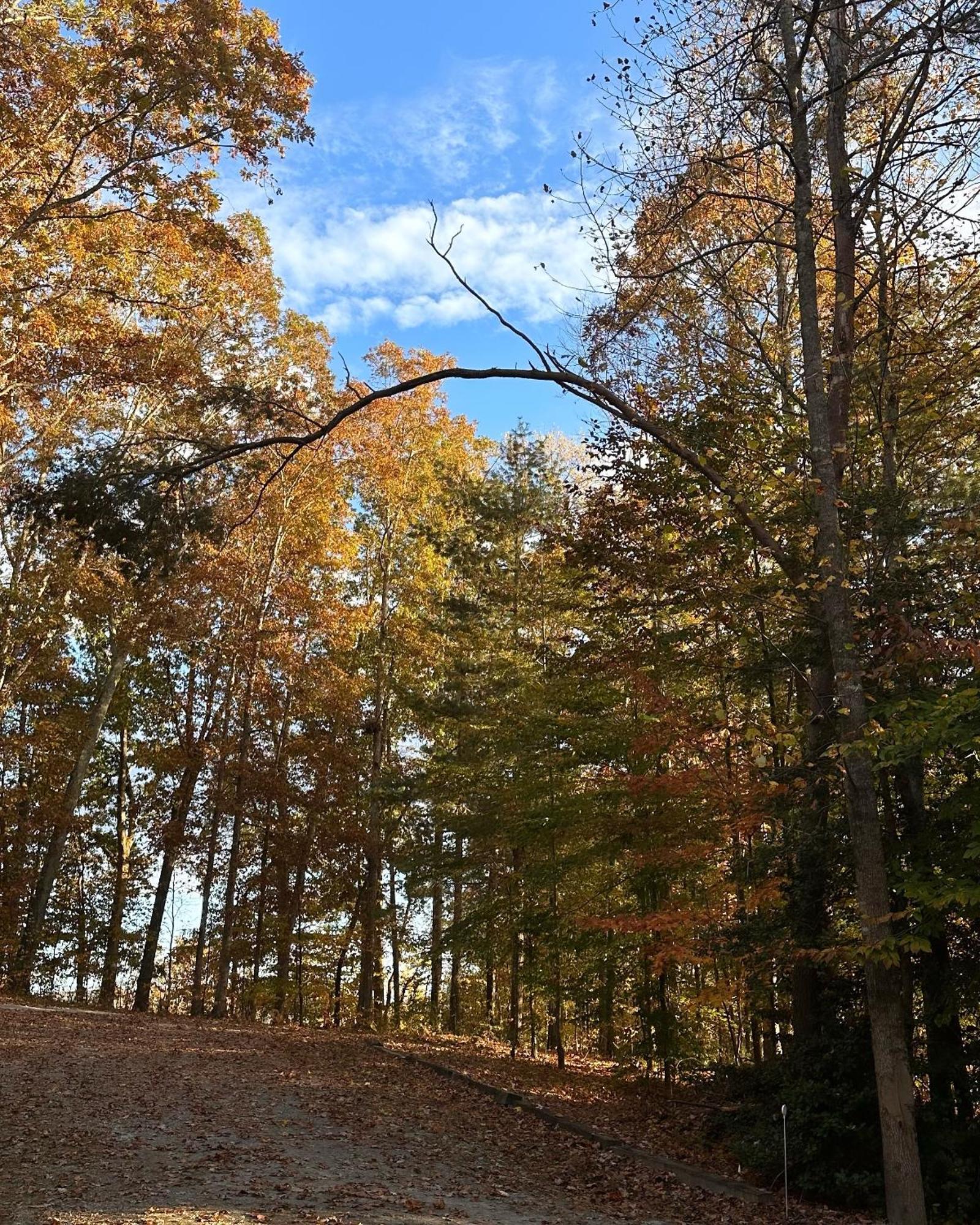 Appalachian Mountain Cabin-Updated-Private-Rafting On Ocoee River-Hiking-Waterfalls-Wifi-Pets Ok Murphy Exterior photo